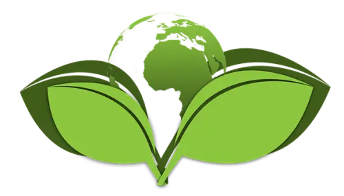 Green-Cleaning--in-Llano-California-green-cleaning-llano-california.jpg-image