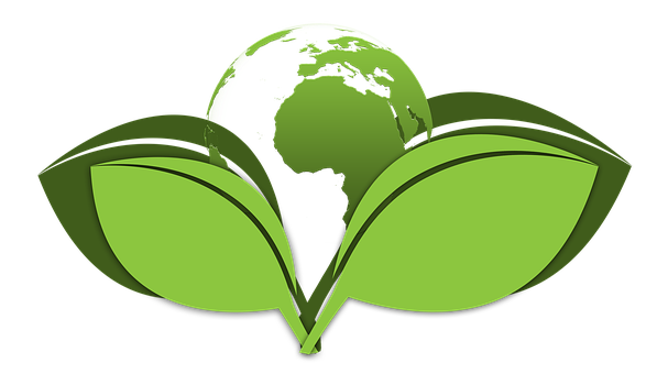 Green-Cleaning--in-Paramount-California-green-cleaning-paramount-california.jpg-image