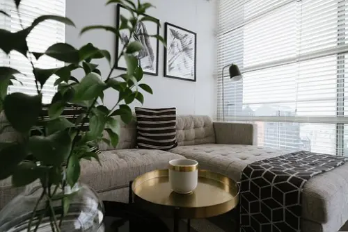 Upholstery-Cleaning--in-Hacienda-Heights-California-upholstery-cleaning-hacienda-heights-california.jpg-image